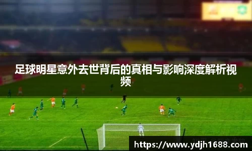 伟德bv国际体育